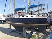 Mikado -C-31